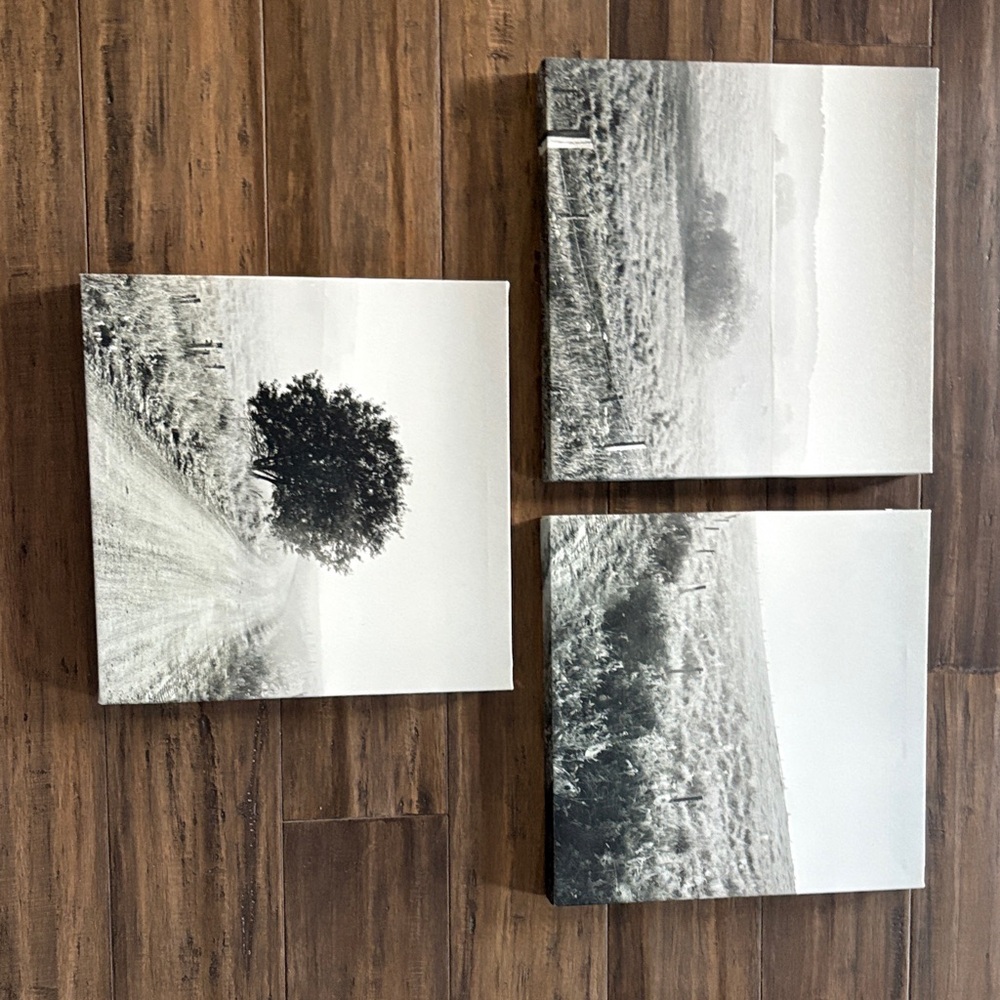 Black and White Landscape Photography Set